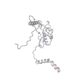 17212_8ove_BN_v1-0
CRYO-EM STRUCTURE OF TRYPANOSOMA BRUCEI PROCYCLIC FORM 80S RIBOSOME : TB11CS6H1 snoRNA mutant