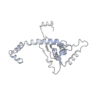 17212_8ove_BO_v1-0
CRYO-EM STRUCTURE OF TRYPANOSOMA BRUCEI PROCYCLIC FORM 80S RIBOSOME : TB11CS6H1 snoRNA mutant