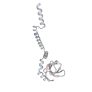 17212_8ove_BP_v1-0
CRYO-EM STRUCTURE OF TRYPANOSOMA BRUCEI PROCYCLIC FORM 80S RIBOSOME : TB11CS6H1 snoRNA mutant