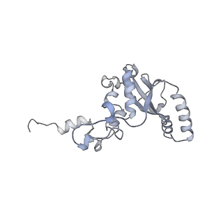 17212_8ove_BQ_v1-0
CRYO-EM STRUCTURE OF TRYPANOSOMA BRUCEI PROCYCLIC FORM 80S RIBOSOME : TB11CS6H1 snoRNA mutant