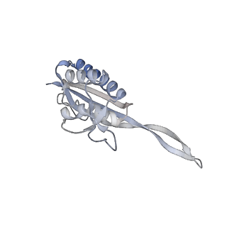 17212_8ove_BR_v1-0
CRYO-EM STRUCTURE OF TRYPANOSOMA BRUCEI PROCYCLIC FORM 80S RIBOSOME : TB11CS6H1 snoRNA mutant