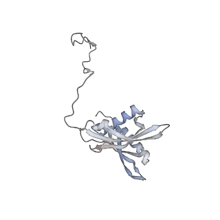 17212_8ove_BS_v1-0
CRYO-EM STRUCTURE OF TRYPANOSOMA BRUCEI PROCYCLIC FORM 80S RIBOSOME : TB11CS6H1 snoRNA mutant