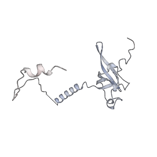17212_8ove_BU_v1-0
CRYO-EM STRUCTURE OF TRYPANOSOMA BRUCEI PROCYCLIC FORM 80S RIBOSOME : TB11CS6H1 snoRNA mutant