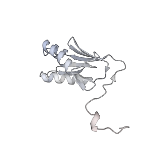 17212_8ove_BV_v1-0
CRYO-EM STRUCTURE OF TRYPANOSOMA BRUCEI PROCYCLIC FORM 80S RIBOSOME : TB11CS6H1 snoRNA mutant