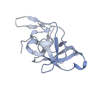 17212_8ove_BW_v1-0
CRYO-EM STRUCTURE OF TRYPANOSOMA BRUCEI PROCYCLIC FORM 80S RIBOSOME : TB11CS6H1 snoRNA mutant