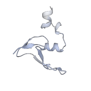 17212_8ove_BY_v1-0
CRYO-EM STRUCTURE OF TRYPANOSOMA BRUCEI PROCYCLIC FORM 80S RIBOSOME : TB11CS6H1 snoRNA mutant