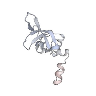 17212_8ove_BZ_v1-0
CRYO-EM STRUCTURE OF TRYPANOSOMA BRUCEI PROCYCLIC FORM 80S RIBOSOME : TB11CS6H1 snoRNA mutant