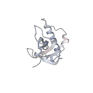 17212_8ove_Ba_v1-0
CRYO-EM STRUCTURE OF TRYPANOSOMA BRUCEI PROCYCLIC FORM 80S RIBOSOME : TB11CS6H1 snoRNA mutant