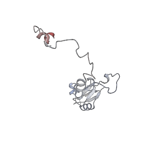 17212_8ove_Bb_v1-0
CRYO-EM STRUCTURE OF TRYPANOSOMA BRUCEI PROCYCLIC FORM 80S RIBOSOME : TB11CS6H1 snoRNA mutant