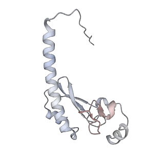 17212_8ove_Bc_v1-0
CRYO-EM STRUCTURE OF TRYPANOSOMA BRUCEI PROCYCLIC FORM 80S RIBOSOME : TB11CS6H1 snoRNA mutant