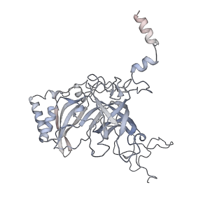 17212_8ove_Bf_v1-0
CRYO-EM STRUCTURE OF TRYPANOSOMA BRUCEI PROCYCLIC FORM 80S RIBOSOME : TB11CS6H1 snoRNA mutant
