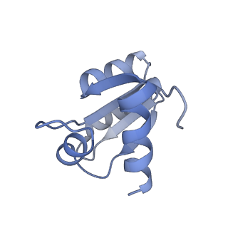 17212_8ove_Bg_v1-0
CRYO-EM STRUCTURE OF TRYPANOSOMA BRUCEI PROCYCLIC FORM 80S RIBOSOME : TB11CS6H1 snoRNA mutant