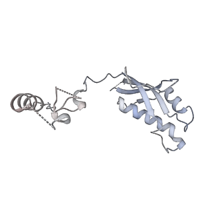 17212_8ove_Bh_v1-0
CRYO-EM STRUCTURE OF TRYPANOSOMA BRUCEI PROCYCLIC FORM 80S RIBOSOME : TB11CS6H1 snoRNA mutant