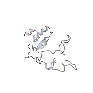 17212_8ove_Bi_v1-0
CRYO-EM STRUCTURE OF TRYPANOSOMA BRUCEI PROCYCLIC FORM 80S RIBOSOME : TB11CS6H1 snoRNA mutant