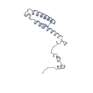 17212_8ove_Bk_v1-0
CRYO-EM STRUCTURE OF TRYPANOSOMA BRUCEI PROCYCLIC FORM 80S RIBOSOME : TB11CS6H1 snoRNA mutant