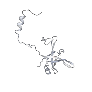 17212_8ove_Bl_v1-0
CRYO-EM STRUCTURE OF TRYPANOSOMA BRUCEI PROCYCLIC FORM 80S RIBOSOME : TB11CS6H1 snoRNA mutant