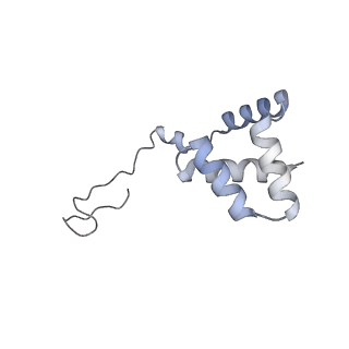 17212_8ove_Bm_v1-0
CRYO-EM STRUCTURE OF TRYPANOSOMA BRUCEI PROCYCLIC FORM 80S RIBOSOME : TB11CS6H1 snoRNA mutant