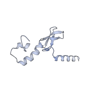 17212_8ove_Bo_v1-0
CRYO-EM STRUCTURE OF TRYPANOSOMA BRUCEI PROCYCLIC FORM 80S RIBOSOME : TB11CS6H1 snoRNA mutant
