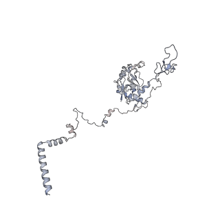 17212_8ove_Br_v1-0
CRYO-EM STRUCTURE OF TRYPANOSOMA BRUCEI PROCYCLIC FORM 80S RIBOSOME : TB11CS6H1 snoRNA mutant