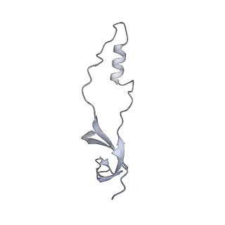 17212_8ove_Bt_v1-0
CRYO-EM STRUCTURE OF TRYPANOSOMA BRUCEI PROCYCLIC FORM 80S RIBOSOME : TB11CS6H1 snoRNA mutant