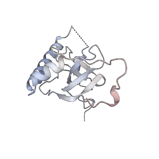 17212_8ove_Bv_v1-0
CRYO-EM STRUCTURE OF TRYPANOSOMA BRUCEI PROCYCLIC FORM 80S RIBOSOME : TB11CS6H1 snoRNA mutant