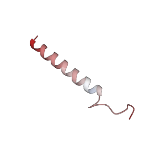 17212_8ove_Bz_v1-0
CRYO-EM STRUCTURE OF TRYPANOSOMA BRUCEI PROCYCLIC FORM 80S RIBOSOME : TB11CS6H1 snoRNA mutant