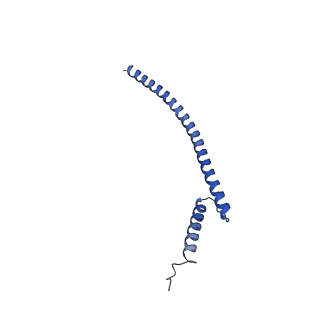 17224_8ovw_A_v1-0
Cryo-EM structure of CBF1-CCAN bound topologically to centromeric DNA