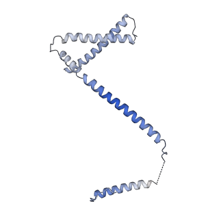 17224_8ovw_H_v1-0
Cryo-EM structure of CBF1-CCAN bound topologically to centromeric DNA