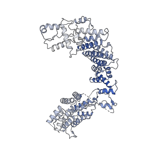17224_8ovw_I_v1-0
Cryo-EM structure of CBF1-CCAN bound topologically to centromeric DNA