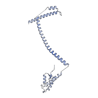 17224_8ovw_K_v1-0
Cryo-EM structure of CBF1-CCAN bound topologically to centromeric DNA