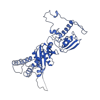 17224_8ovw_N_v1-0
Cryo-EM structure of CBF1-CCAN bound topologically to centromeric DNA