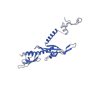 17224_8ovw_O_v1-0
Cryo-EM structure of CBF1-CCAN bound topologically to centromeric DNA