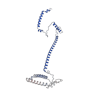 17224_8ovw_Q_v1-0
Cryo-EM structure of CBF1-CCAN bound topologically to centromeric DNA