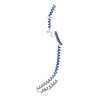 17224_8ovw_U_v1-0
Cryo-EM structure of CBF1-CCAN bound topologically to centromeric DNA