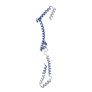 17224_8ovw_Y_v1-0
Cryo-EM structure of CBF1-CCAN bound topologically to centromeric DNA