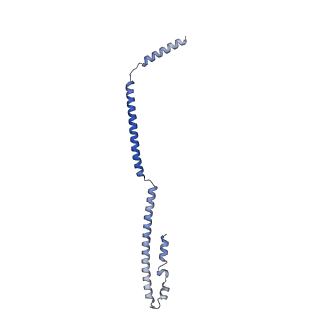 17224_8ovw_Z_v1-0
Cryo-EM structure of CBF1-CCAN bound topologically to centromeric DNA