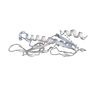 17225_8ovx_O_v1-0
Cryo-EM structure of yeast CENP-OPQU+ bound to the CENP-A N-terminus