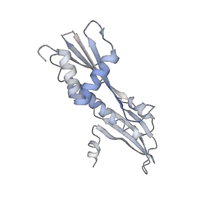 17225_8ovx_P_v1-0
Cryo-EM structure of yeast CENP-OPQU+ bound to the CENP-A N-terminus