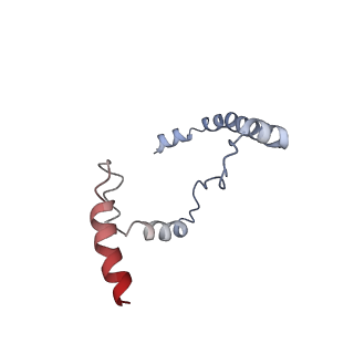 17225_8ovx_Q_v1-0
Cryo-EM structure of yeast CENP-OPQU+ bound to the CENP-A N-terminus