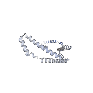17225_8ovx_Y_v1-0
Cryo-EM structure of yeast CENP-OPQU+ bound to the CENP-A N-terminus