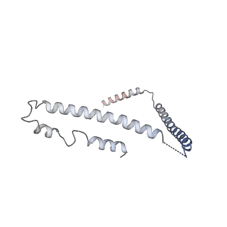 17225_8ovx_Z_v1-0
Cryo-EM structure of yeast CENP-OPQU+ bound to the CENP-A N-terminus