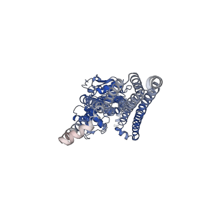 13095_7ow8_B_v1-1
CryoEM structure of the ABC transporter BmrA E504A mutant in complex with ATP-Mg