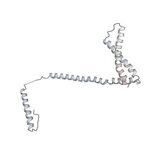 17226_8ow0_H_v1-0
Cryo-EM structure of CBF1-CCAN bound topologically to a centromeric CENP-A nucleosome