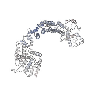 17226_8ow0_I_v1-0
Cryo-EM structure of CBF1-CCAN bound topologically to a centromeric CENP-A nucleosome