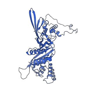 17226_8ow0_N_v1-0
Cryo-EM structure of CBF1-CCAN bound topologically to a centromeric CENP-A nucleosome