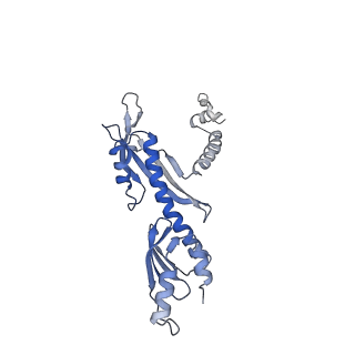 17226_8ow0_O_v1-0
Cryo-EM structure of CBF1-CCAN bound topologically to a centromeric CENP-A nucleosome