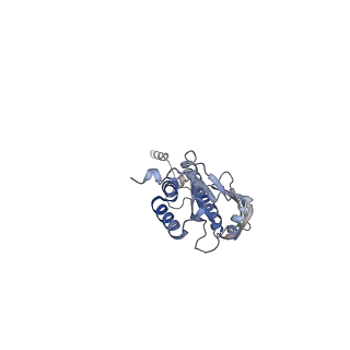 17226_8ow0_P_v1-0
Cryo-EM structure of CBF1-CCAN bound topologically to a centromeric CENP-A nucleosome