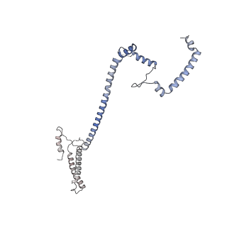 17226_8ow0_Q_v1-0
Cryo-EM structure of CBF1-CCAN bound topologically to a centromeric CENP-A nucleosome