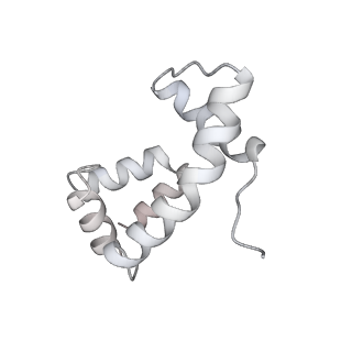 17226_8ow0_T_v1-0
Cryo-EM structure of CBF1-CCAN bound topologically to a centromeric CENP-A nucleosome