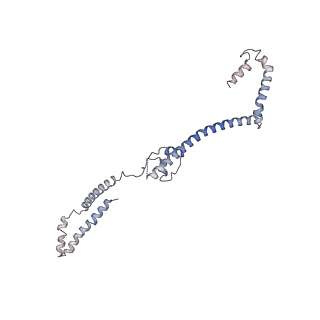 17226_8ow0_Y_v1-0
Cryo-EM structure of CBF1-CCAN bound topologically to a centromeric CENP-A nucleosome